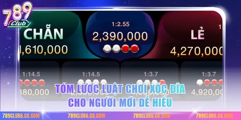 Tóm lược luật chơi xóc đĩa cho người mới dễ hiểu